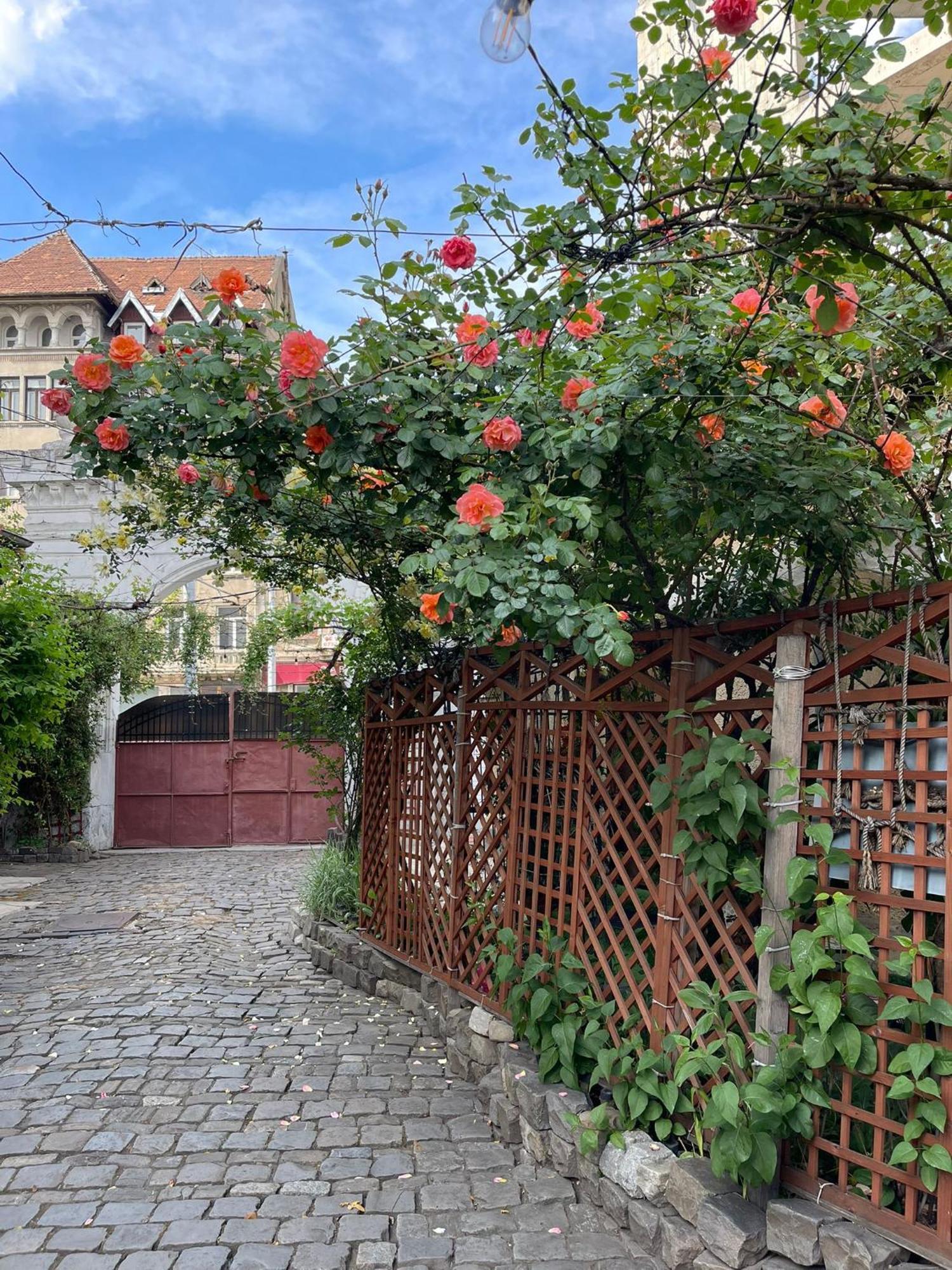 City Garden Apartments Bucarest Exterior foto